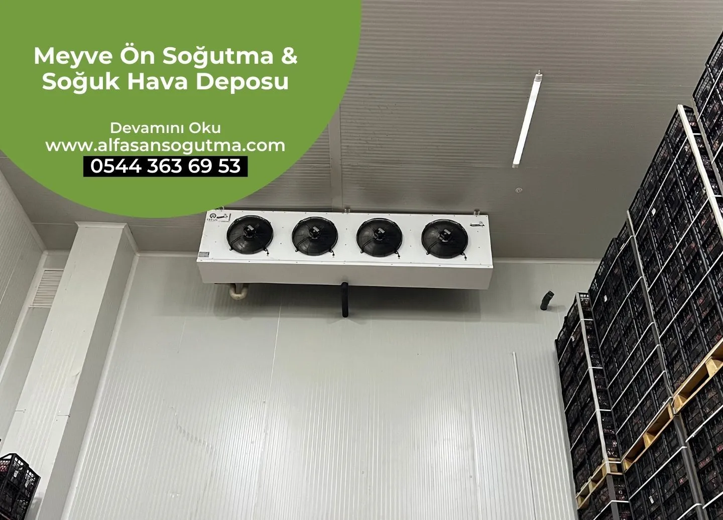 Meyve Ön Soğutma & Soğuk Hava Deposu