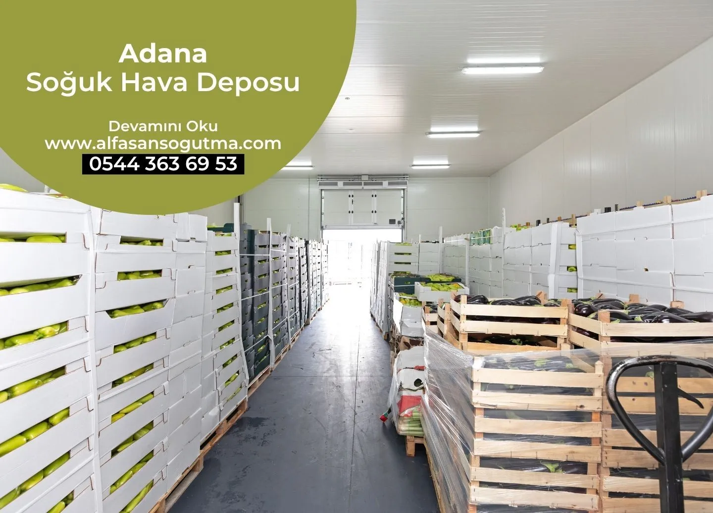 Adana Soğuk Hava Deposu