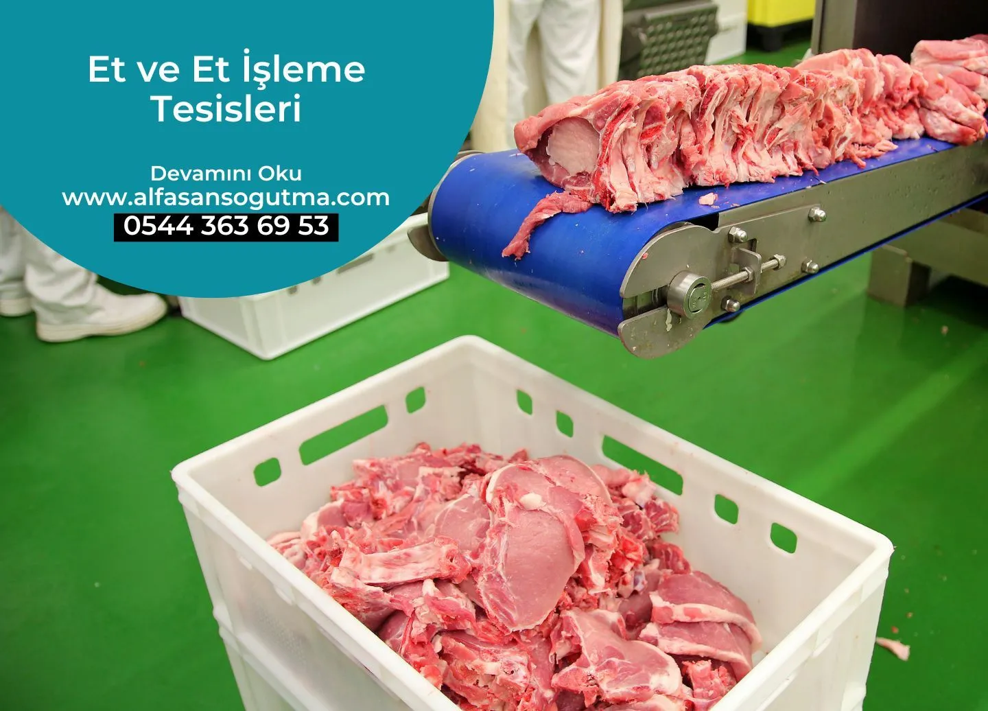 Anahtar Teslim Et İşleme Tesisi