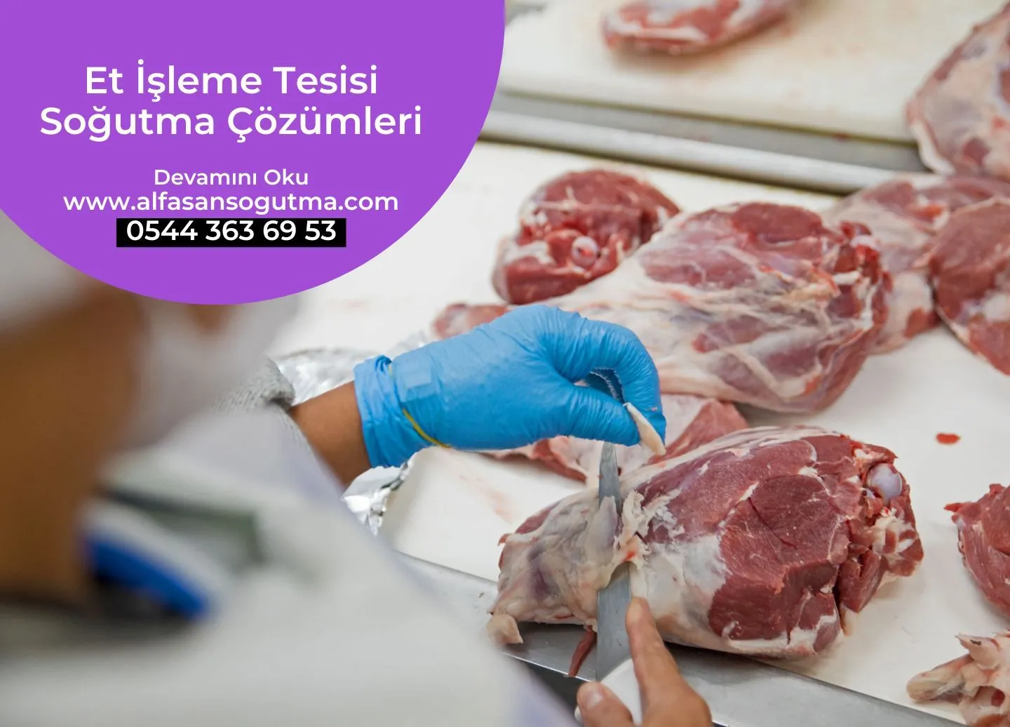 Et İşleme Tesisi Soğutma Çözümleri