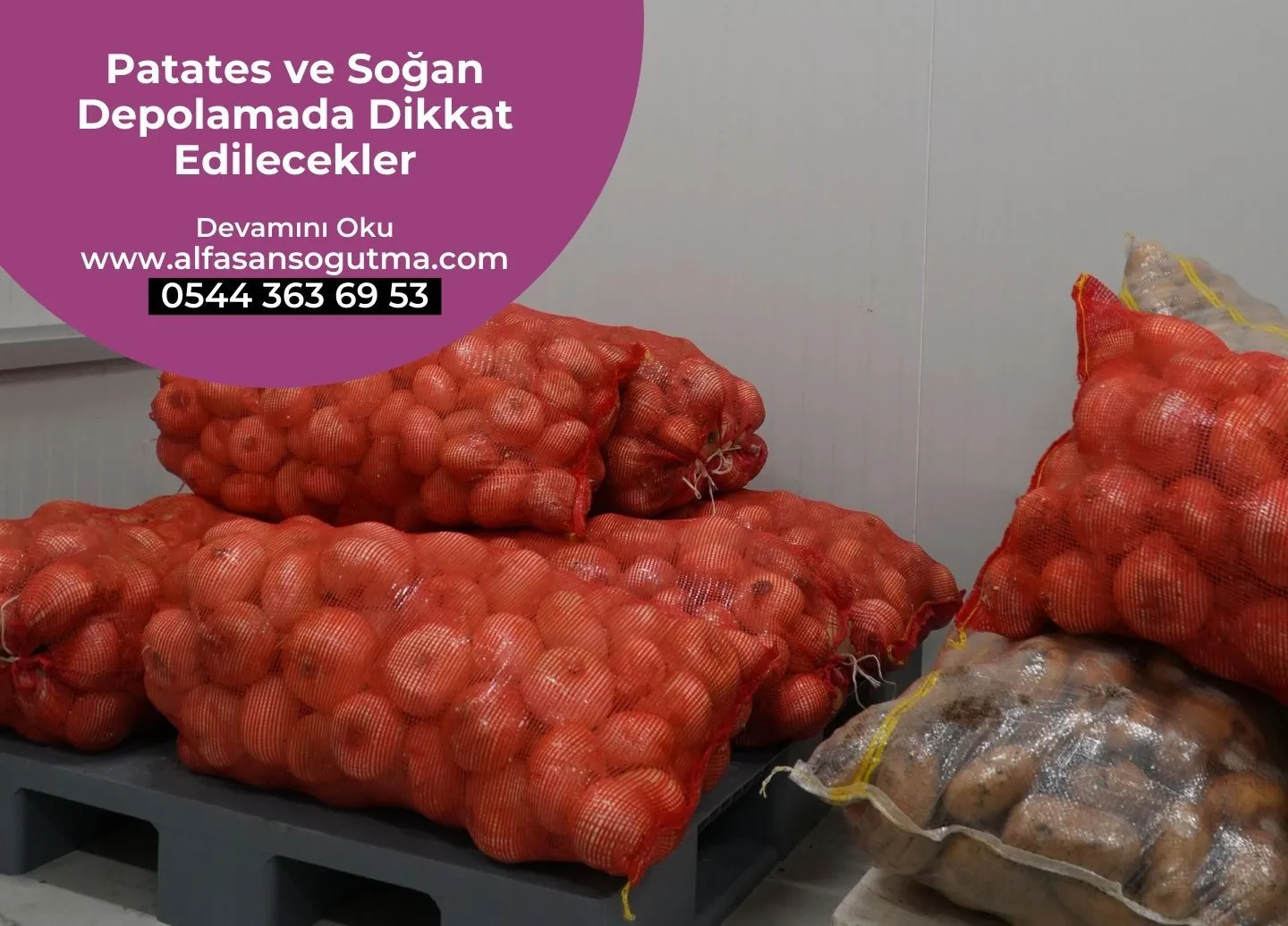Patates ve Soğan Depolamada Dikkat Edilecekler