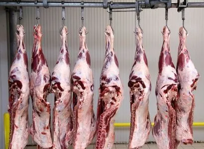 Et ve Et Ürünleri İşleme ve Muhafaza Depoları
