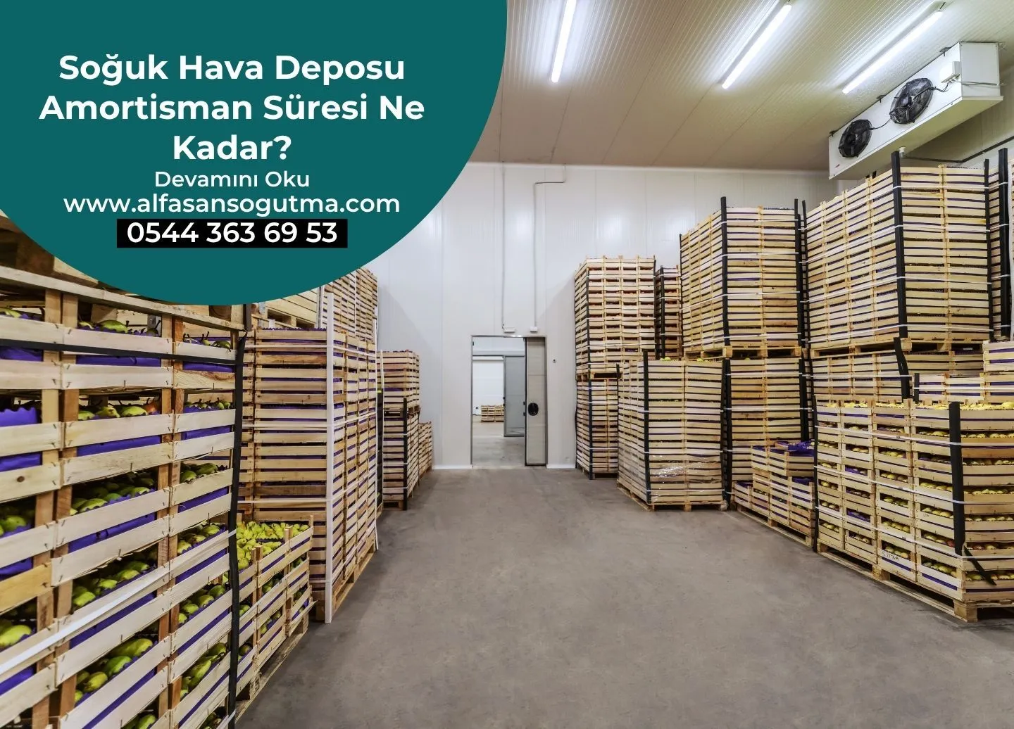 Soğuk Hava Deposu Amortisman Süresi Ne Kadar?