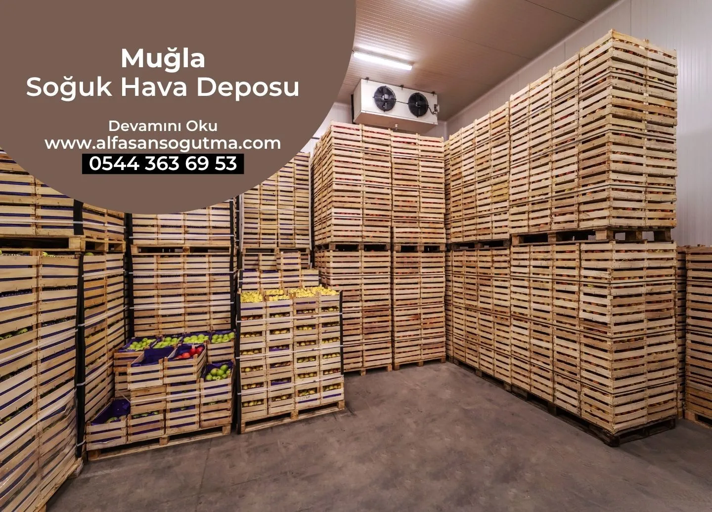 Muğla Soğuk Hava Deposu
