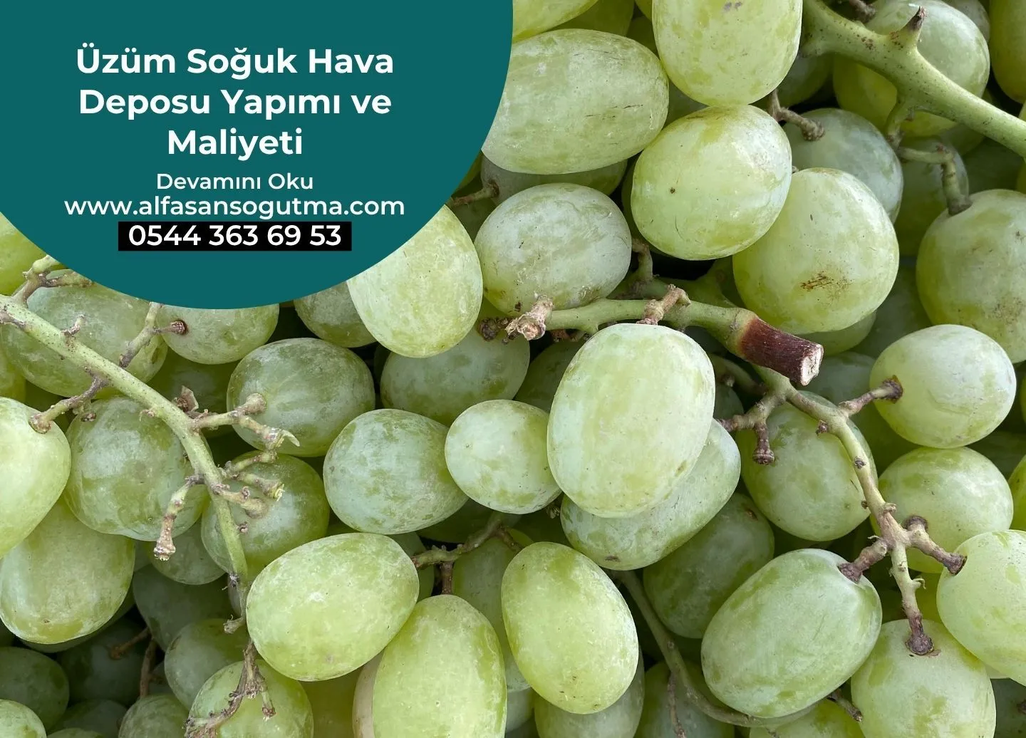 Üzüm Soğuk Hava Deposu Yapımı ve Maliyeti