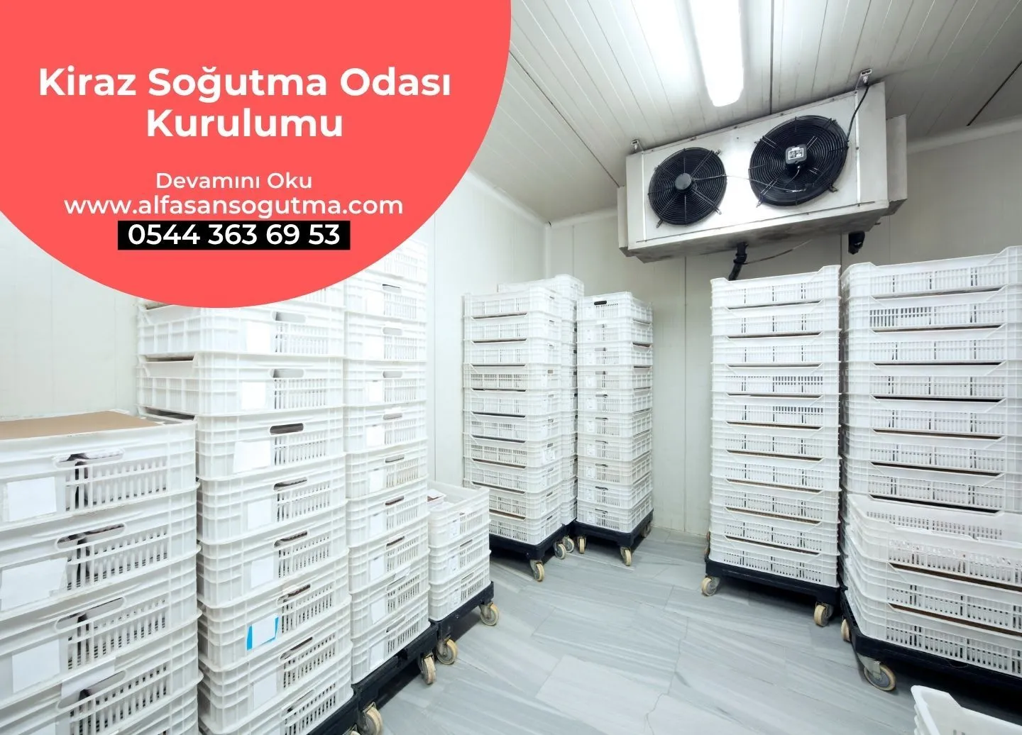 Kiraz Soğutma Odası Kurulumu