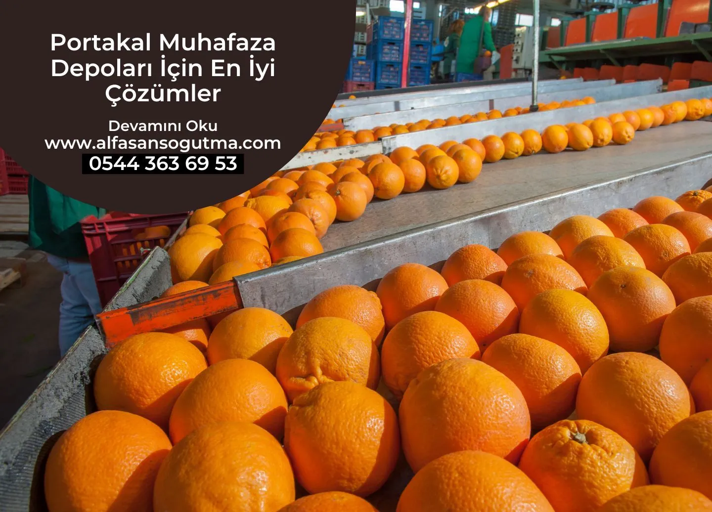 Portakal Muhafaza Depoları İçin En İyi Çözümler