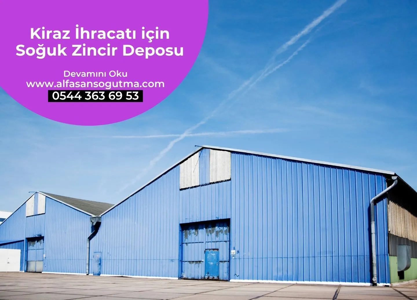 Kiraz İhracatı için Soğuk Zincir Deposu