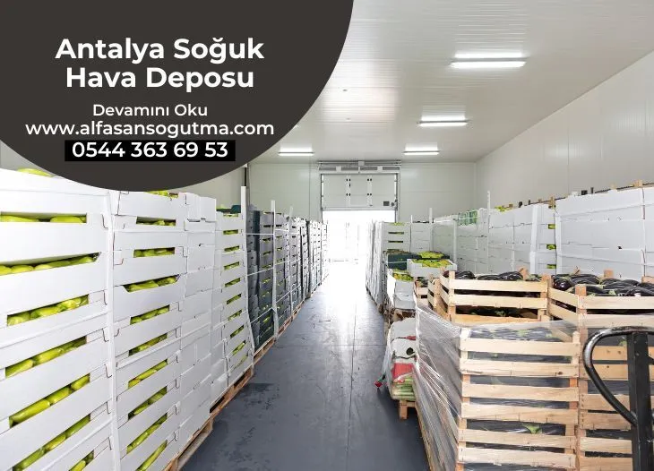Antalya Soğuk Hava Deposu