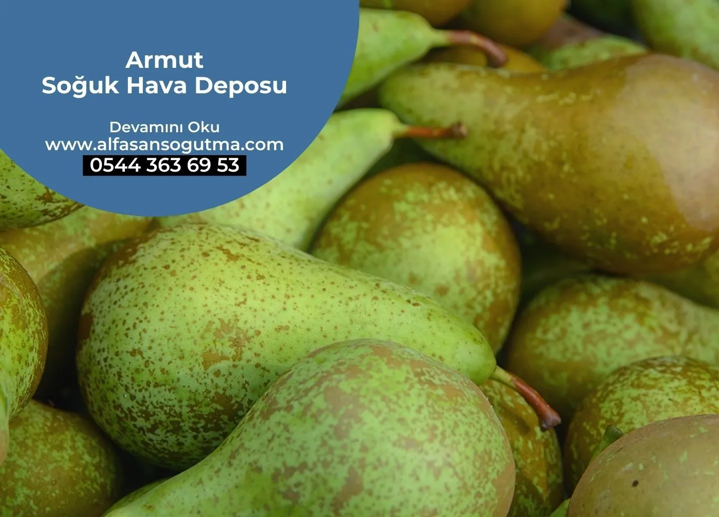 Armut Soğuk Hava Deposu