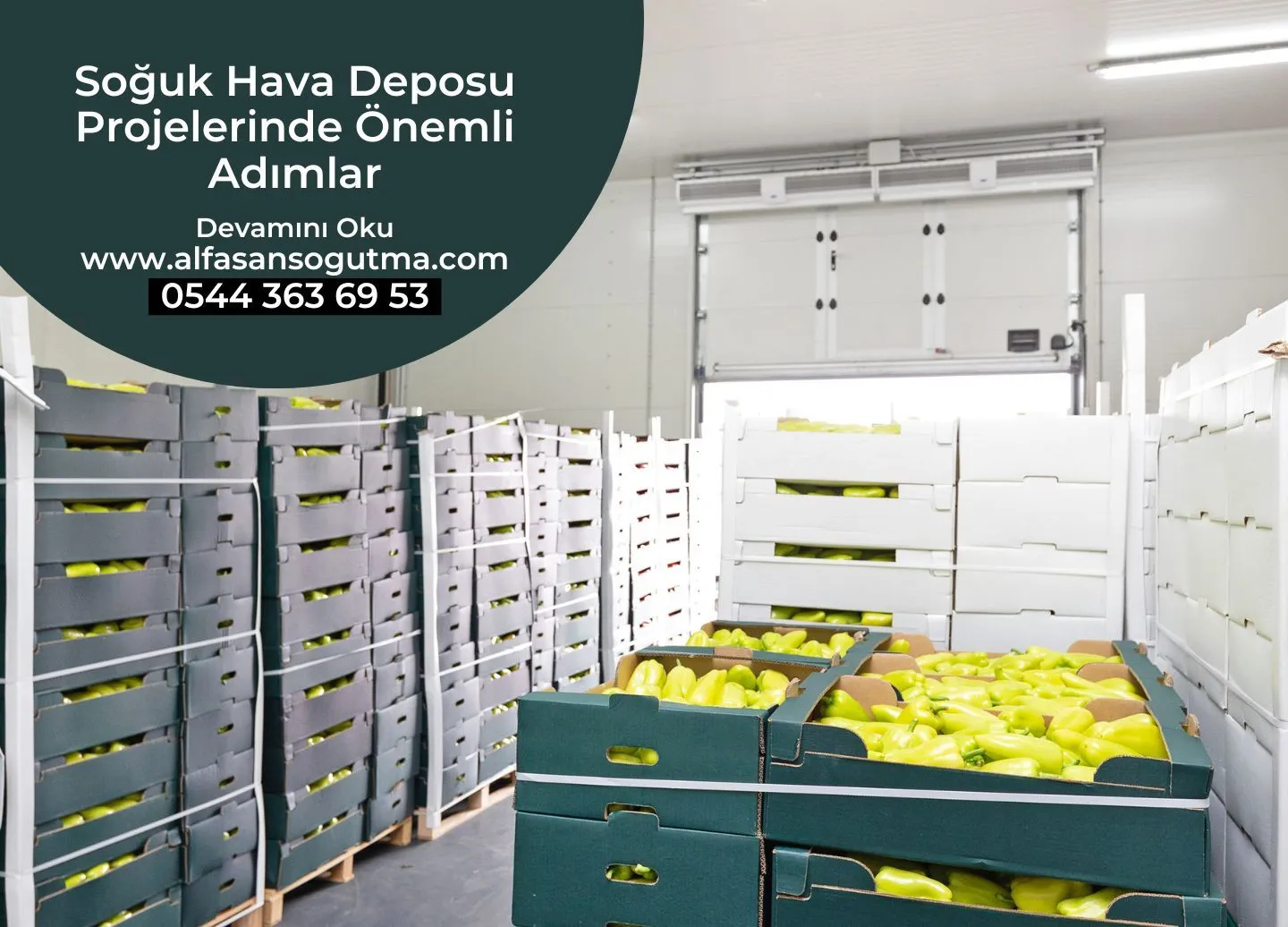 Soğuk Hava Deposu Projelerinde Önemli Adımlar