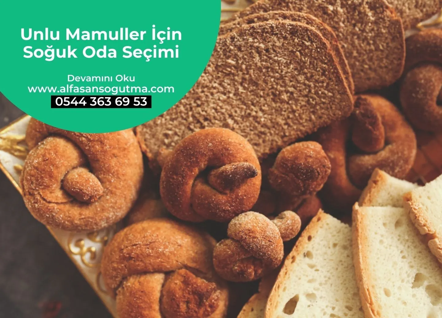 Unlu Mamuller İçin Soğuk Oda Seçimi