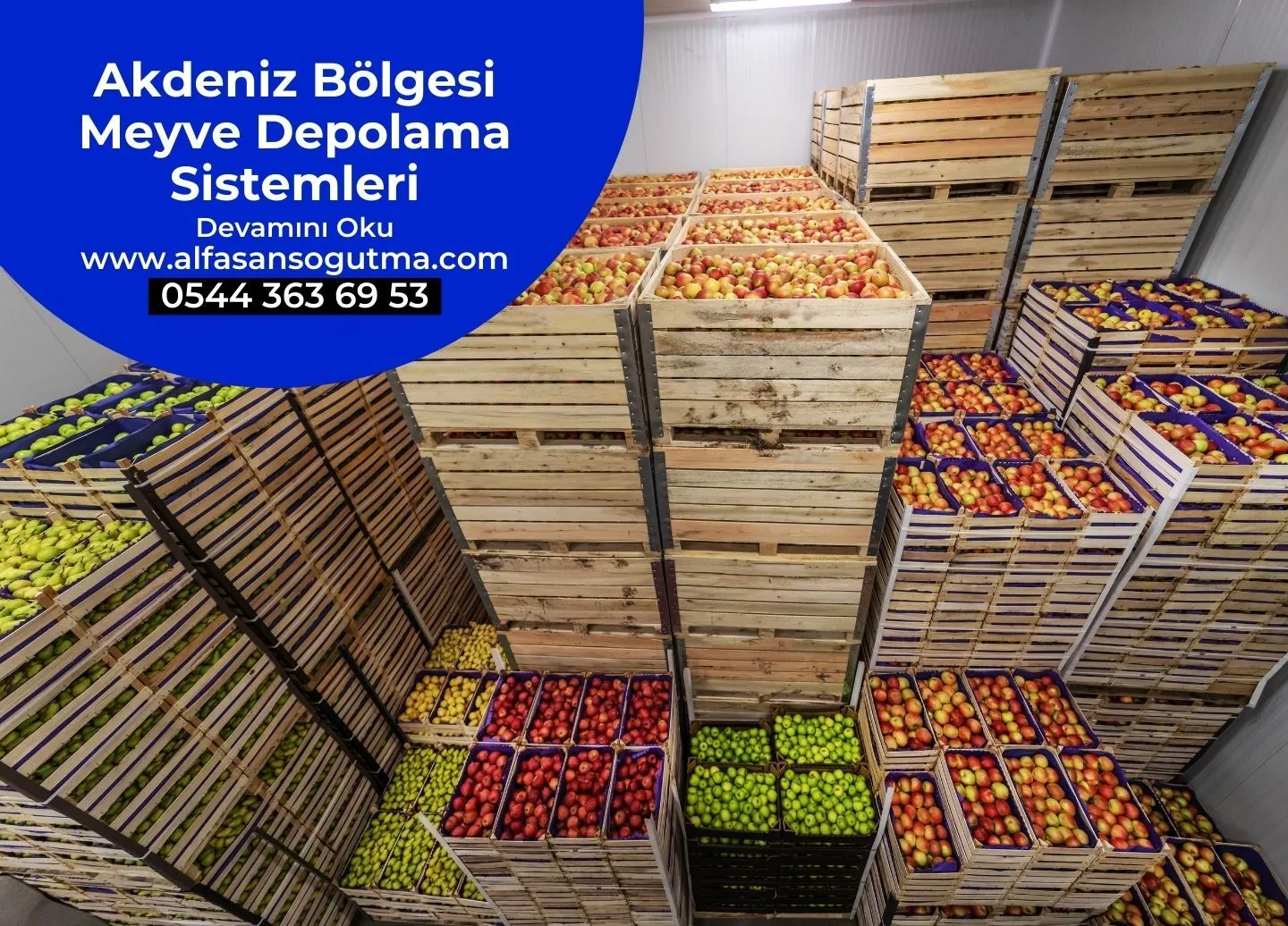 Akdeniz Bölgesi Meyve Depolama Sistemleri 