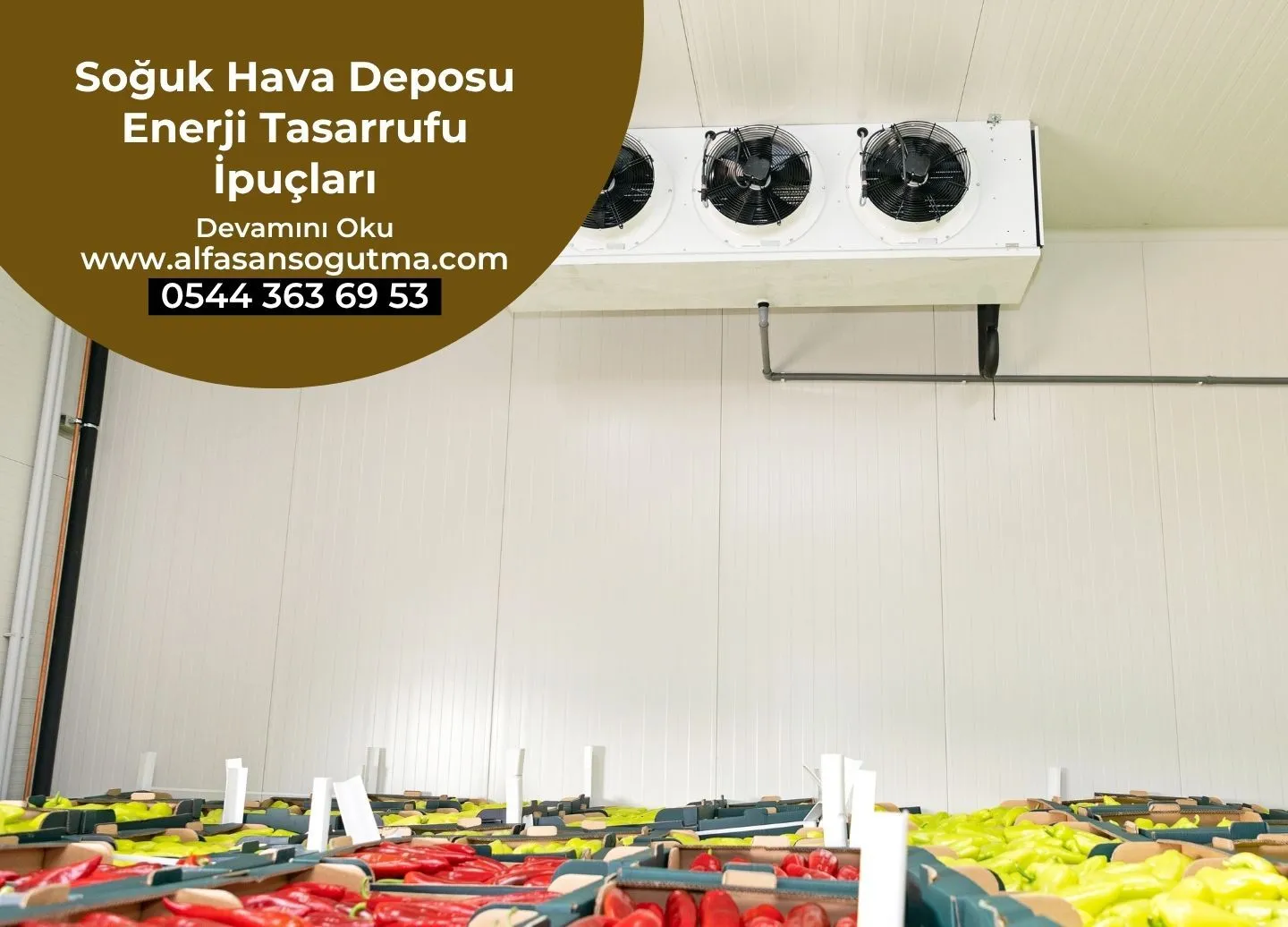 Soğuk Hava Deposu Enerji Tasarrufu İpuçları