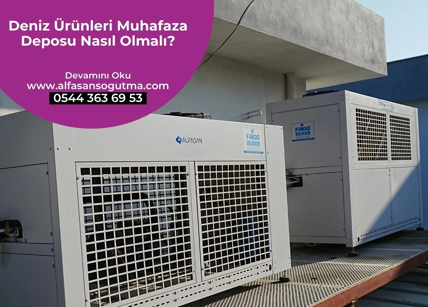 Deniz Ürünleri Muhafaza Deposu Nasıl Olmalı?
