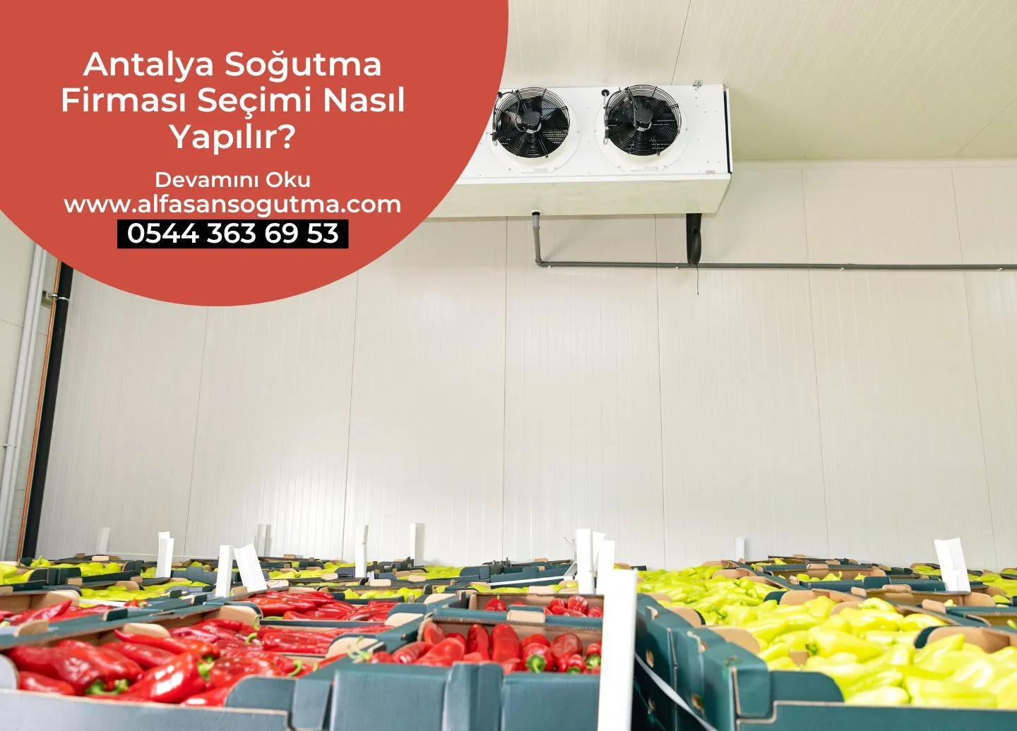 Antalya Soğutma Firması Seçimi Nasıl Yapılır?