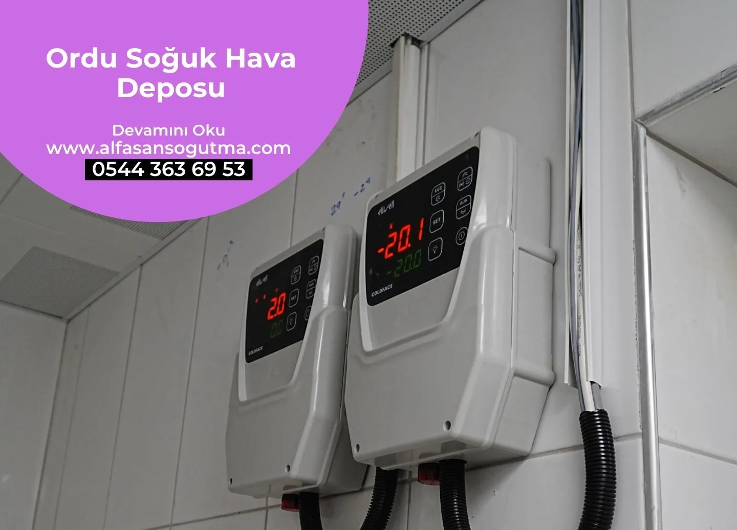 Ordu Soğuk Hava Deposu