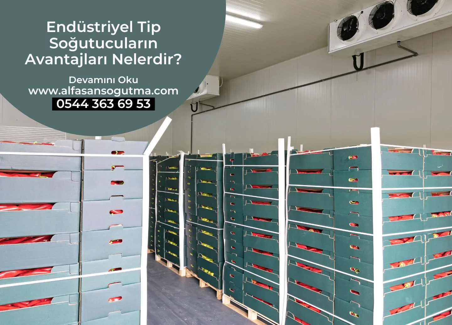 Endüstriyel Tip Soğutucuların Avantajları Nelerdir?