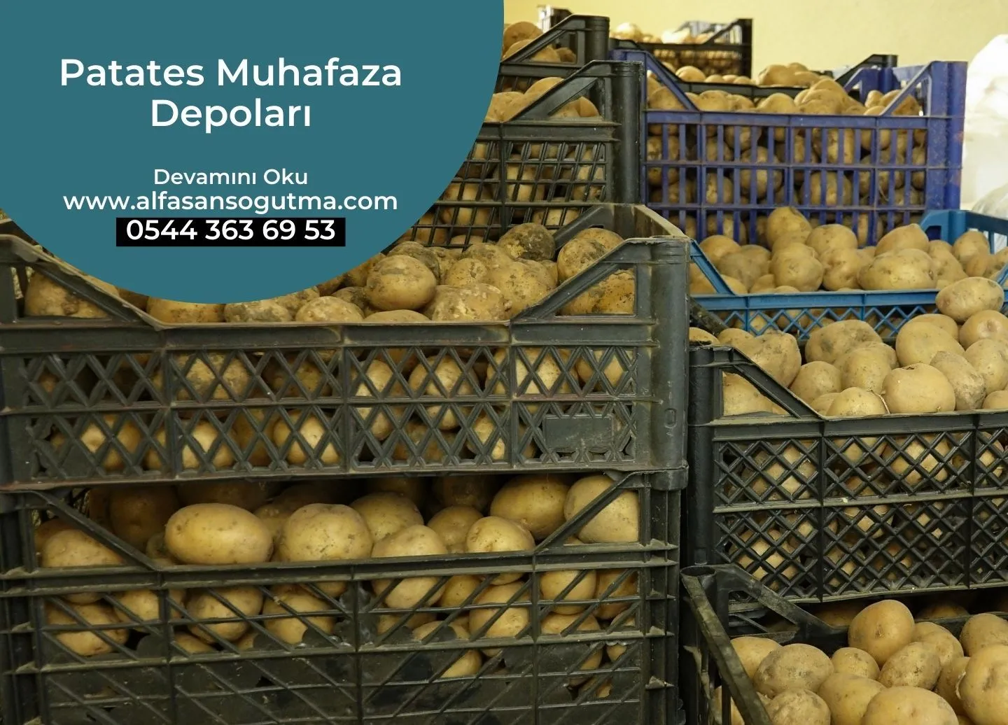 Anahtar Teslim Patates Soğuk Oda Tesisi
