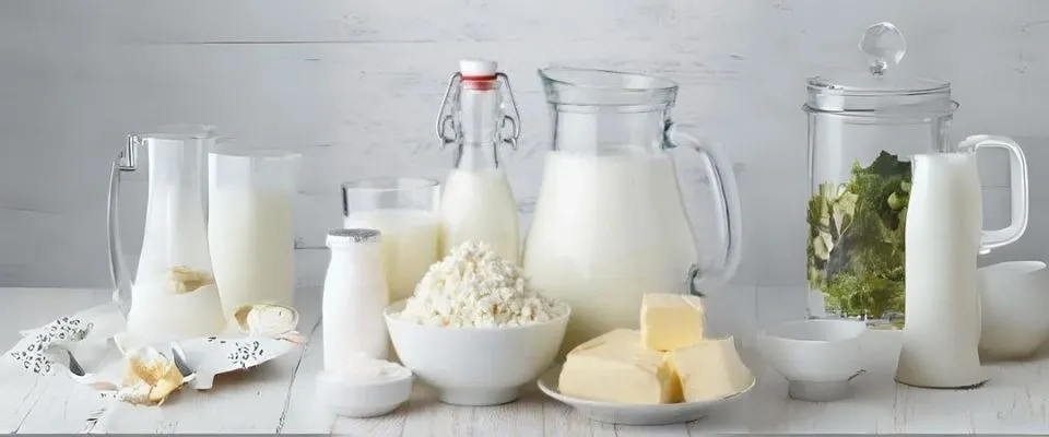 Süt ve Süt Ürünleri Muhafaza Depoları