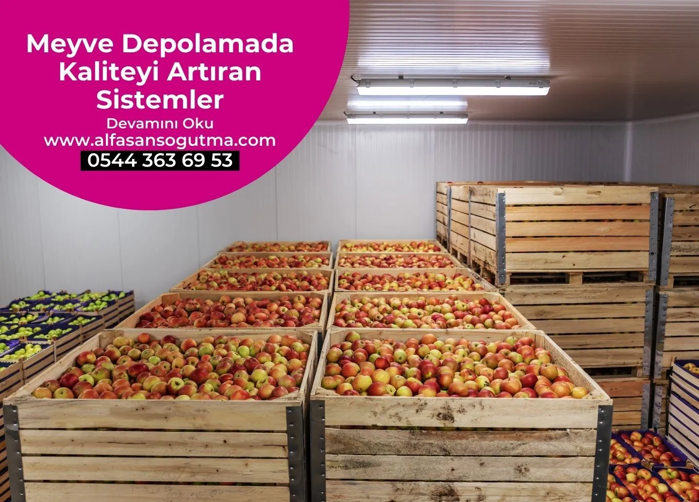 Meyve Depolamada Kaliteyi Artıran Sistemler