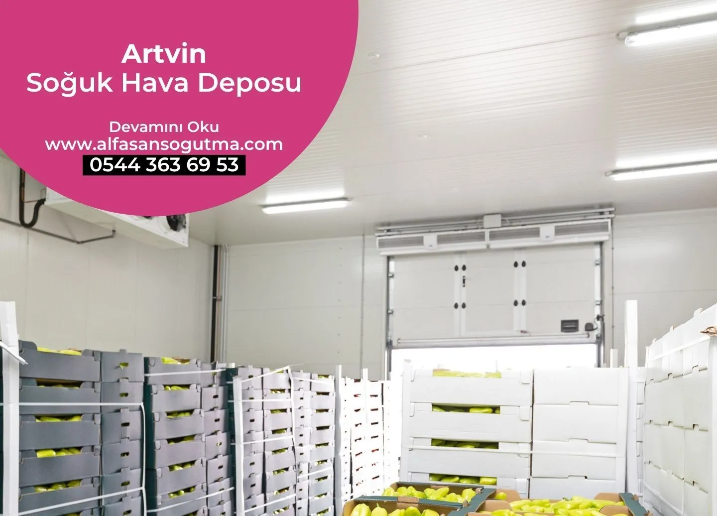 Artvin Soğuk Hava Deposu