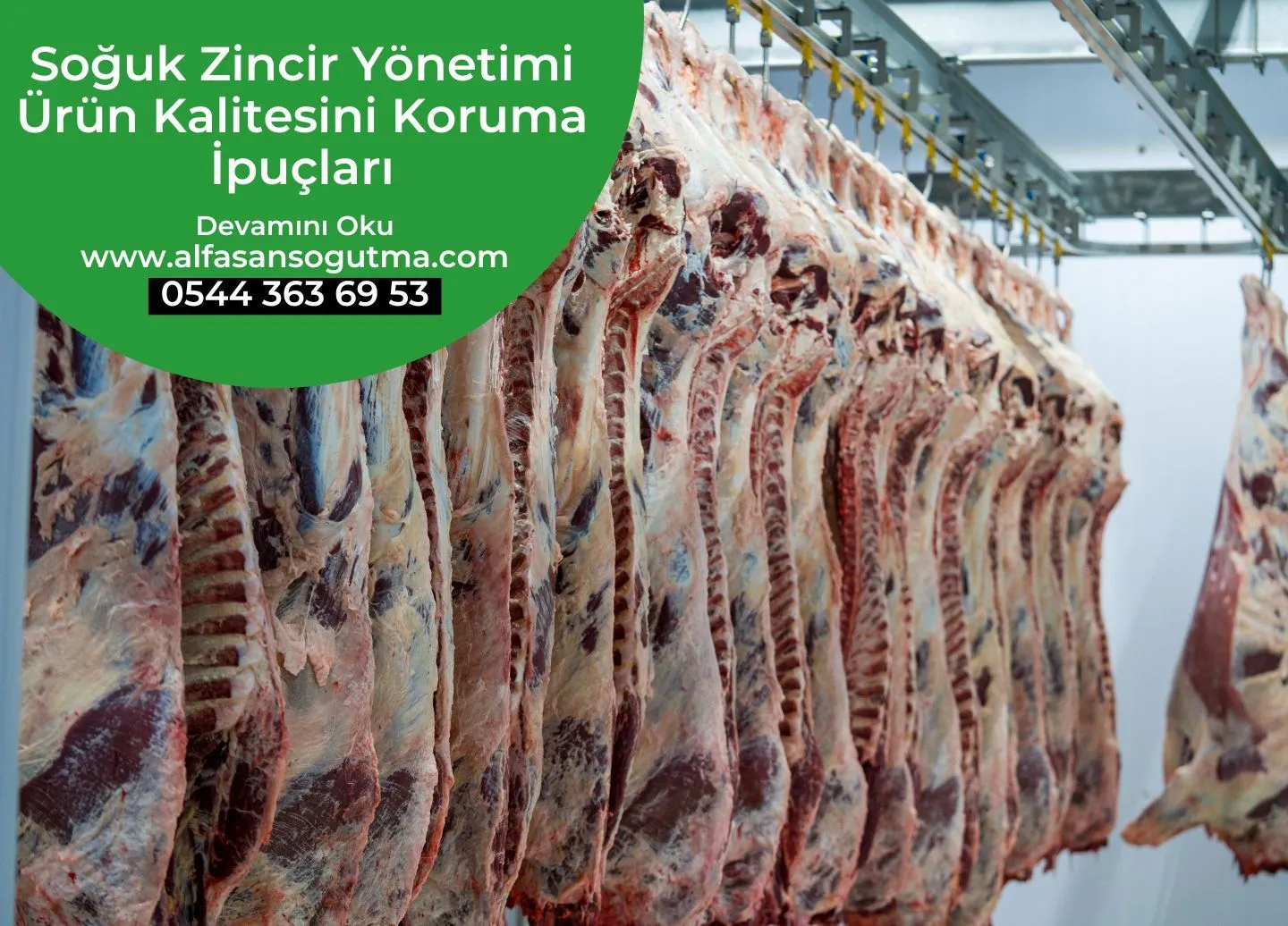 Soğuk Zincir Yönetimi Ürün Kalitesini Koruma İpuçları