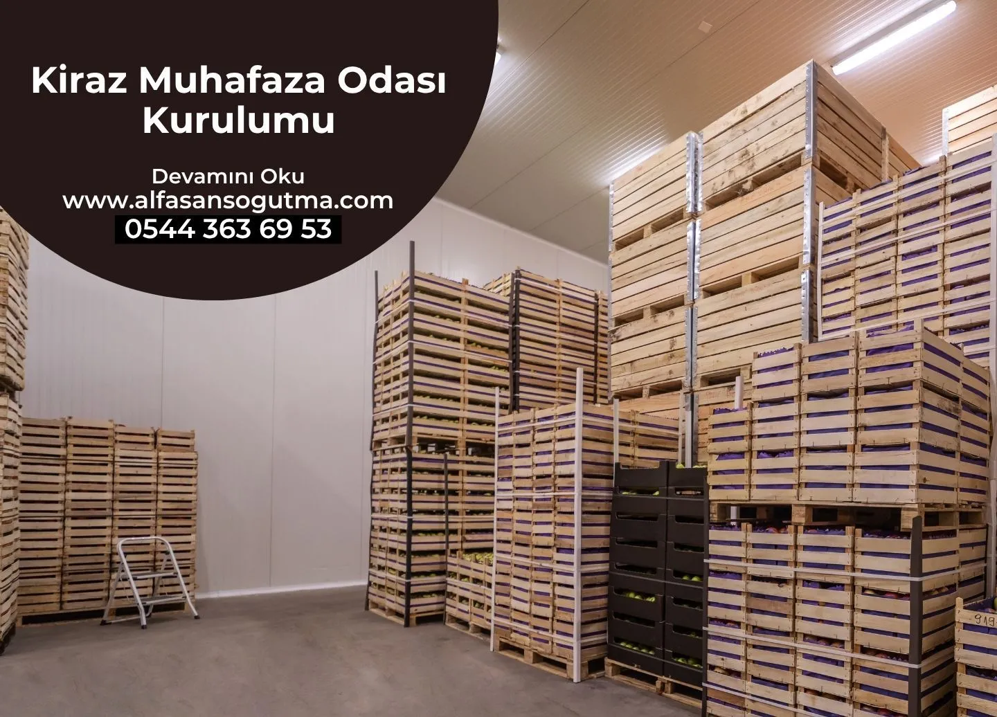 Kiraz Muhafaza Odası Kurulumu