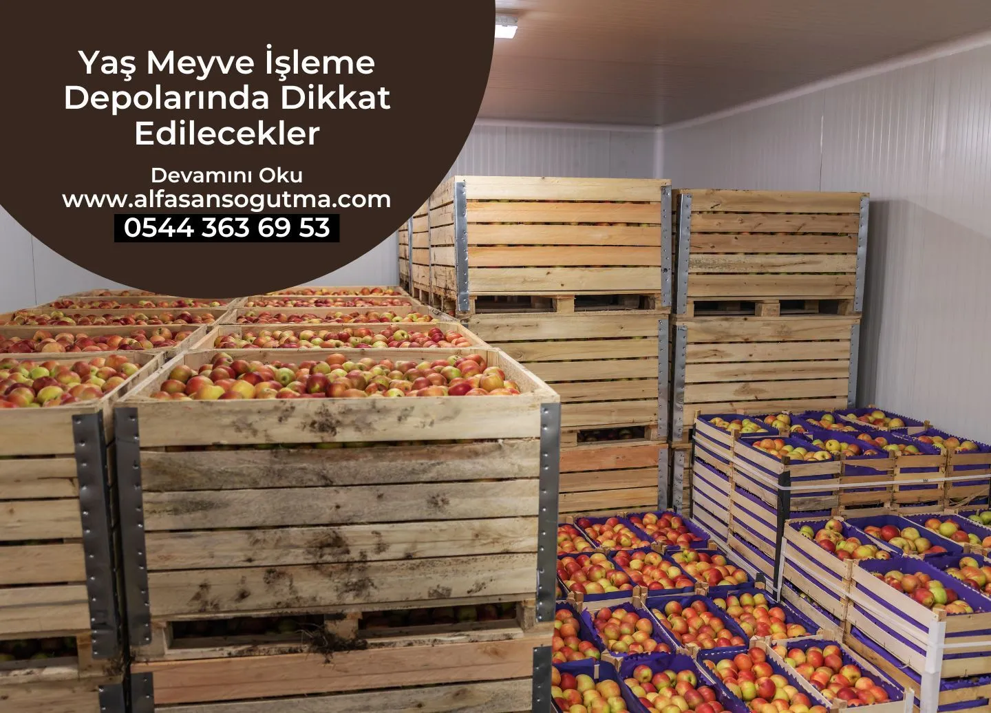 Yaş Meyve İşleme Depolarında Dikkat Edilecekler