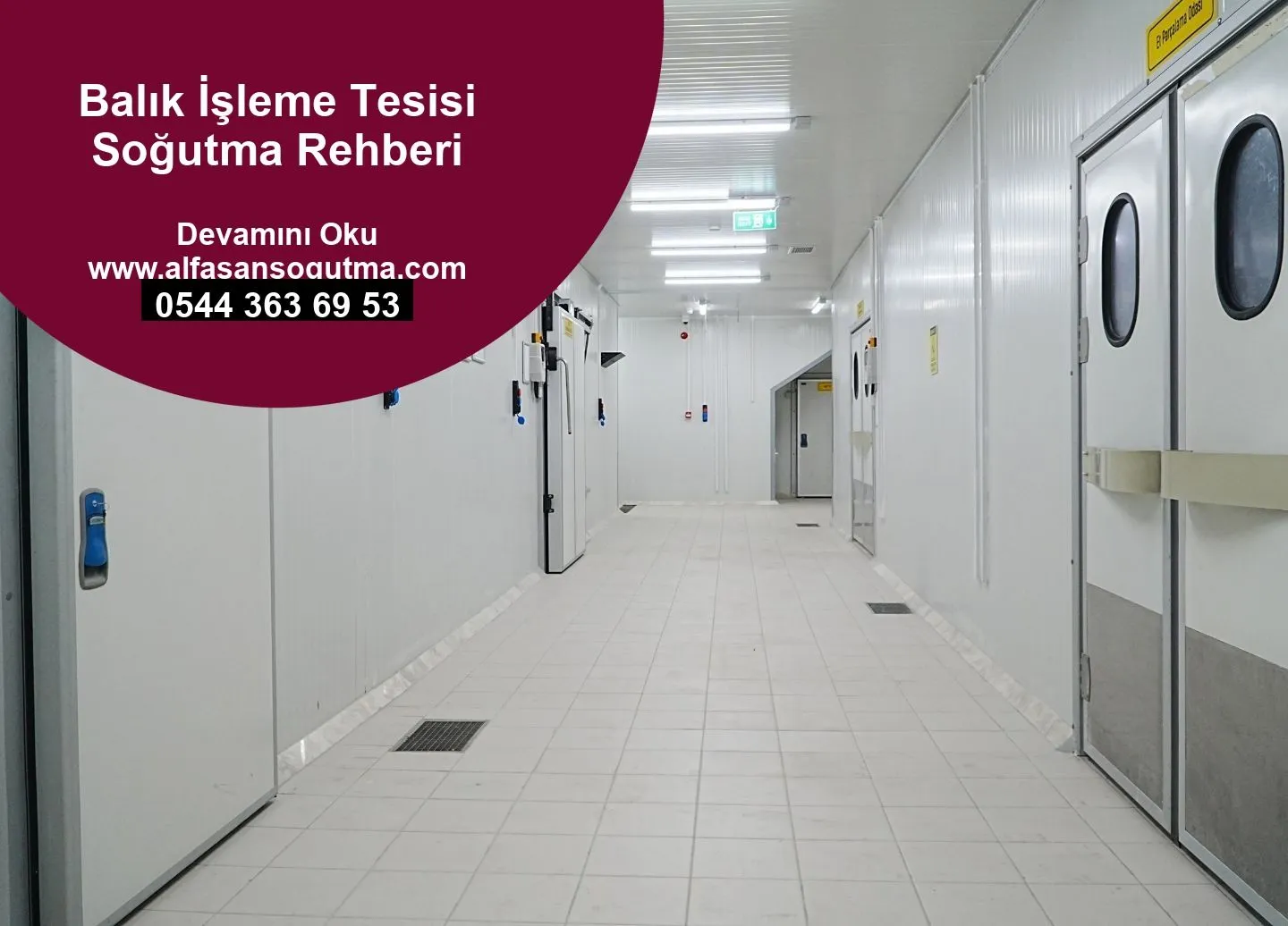 Balık İşleme Tesisi Soğutma Rehberi