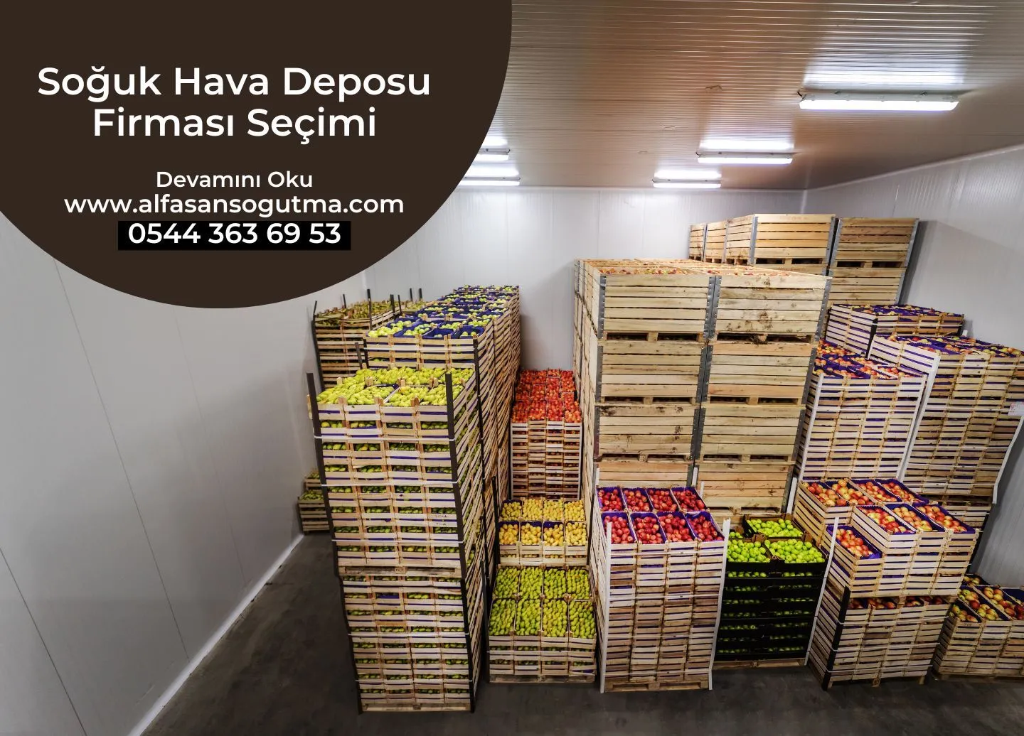Soğuk Hava Deposu Firması Seçimi