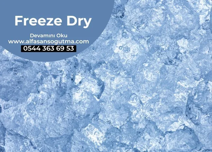 Freeze Dry