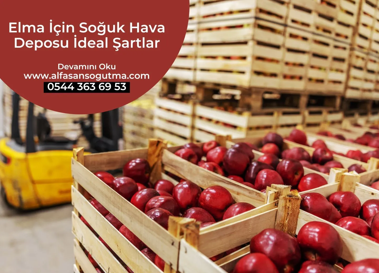 Elma İçin Soğuk Hava Deposu İdeal Şartlar
