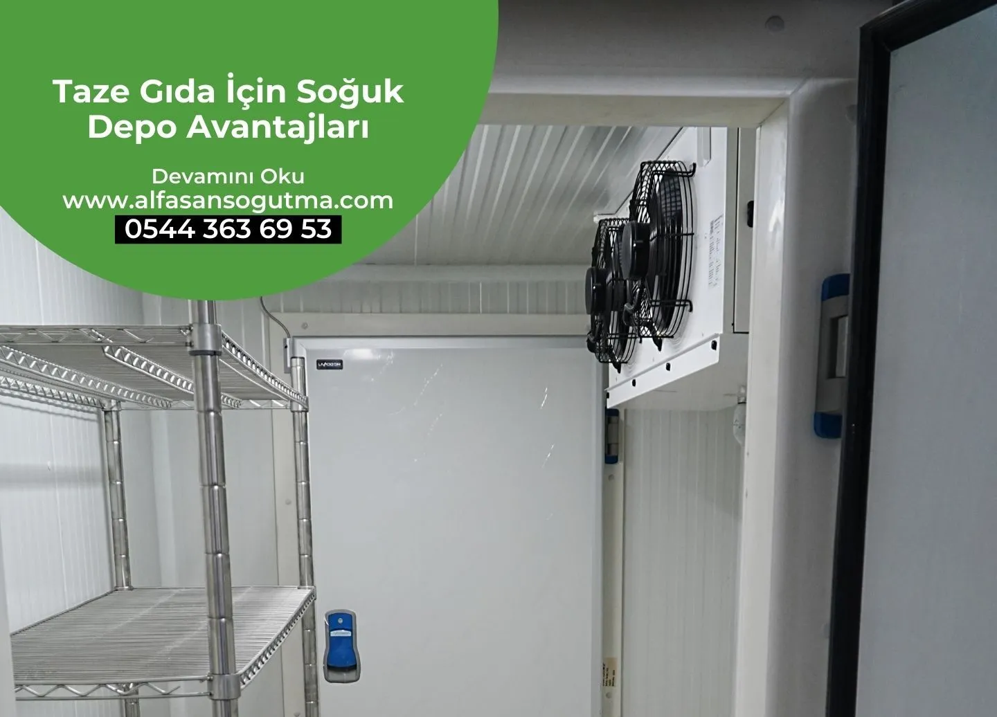 Taze Gıda İçin Soğuk Depo Avantajları