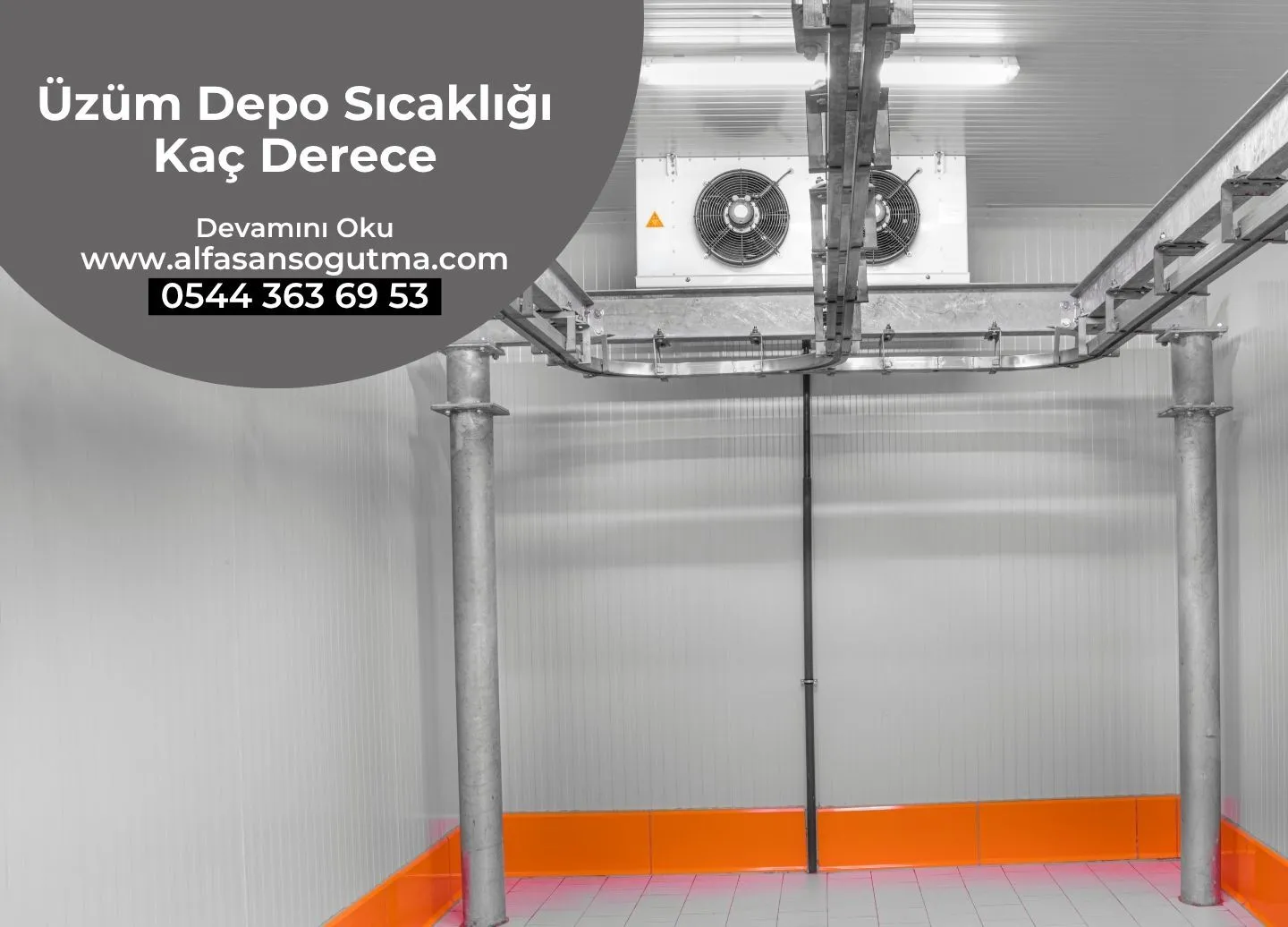Üzüm Depo Sıcaklığı Kaç Derece