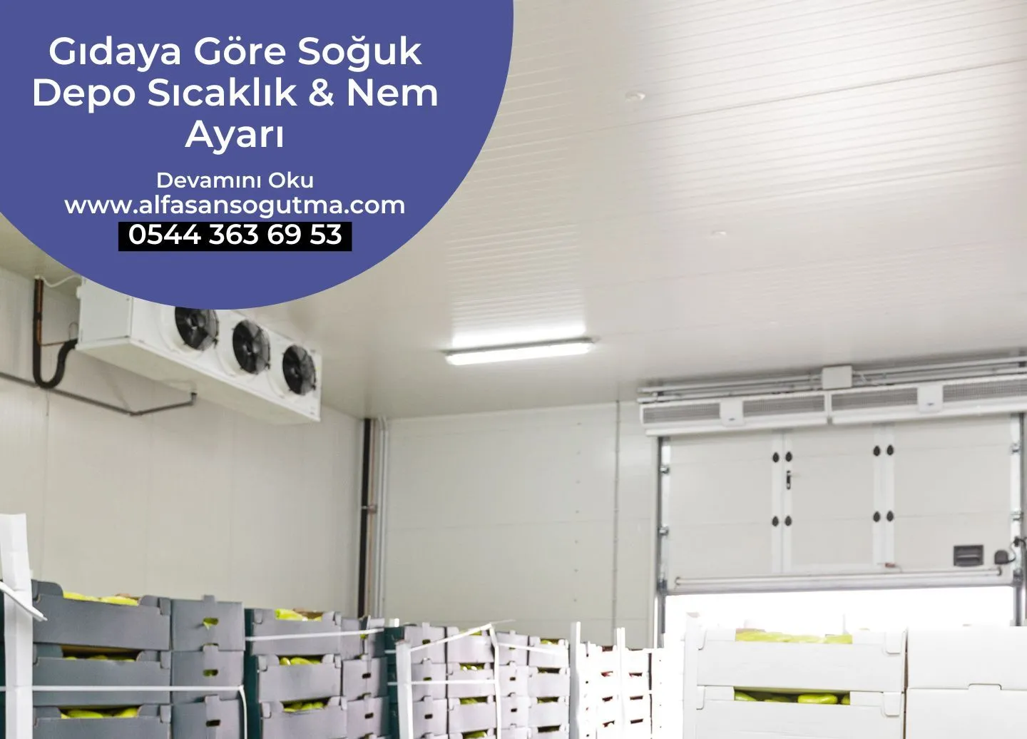 Gıdaya Göre Soğuk Depo Sıcaklık Nem Ayarı