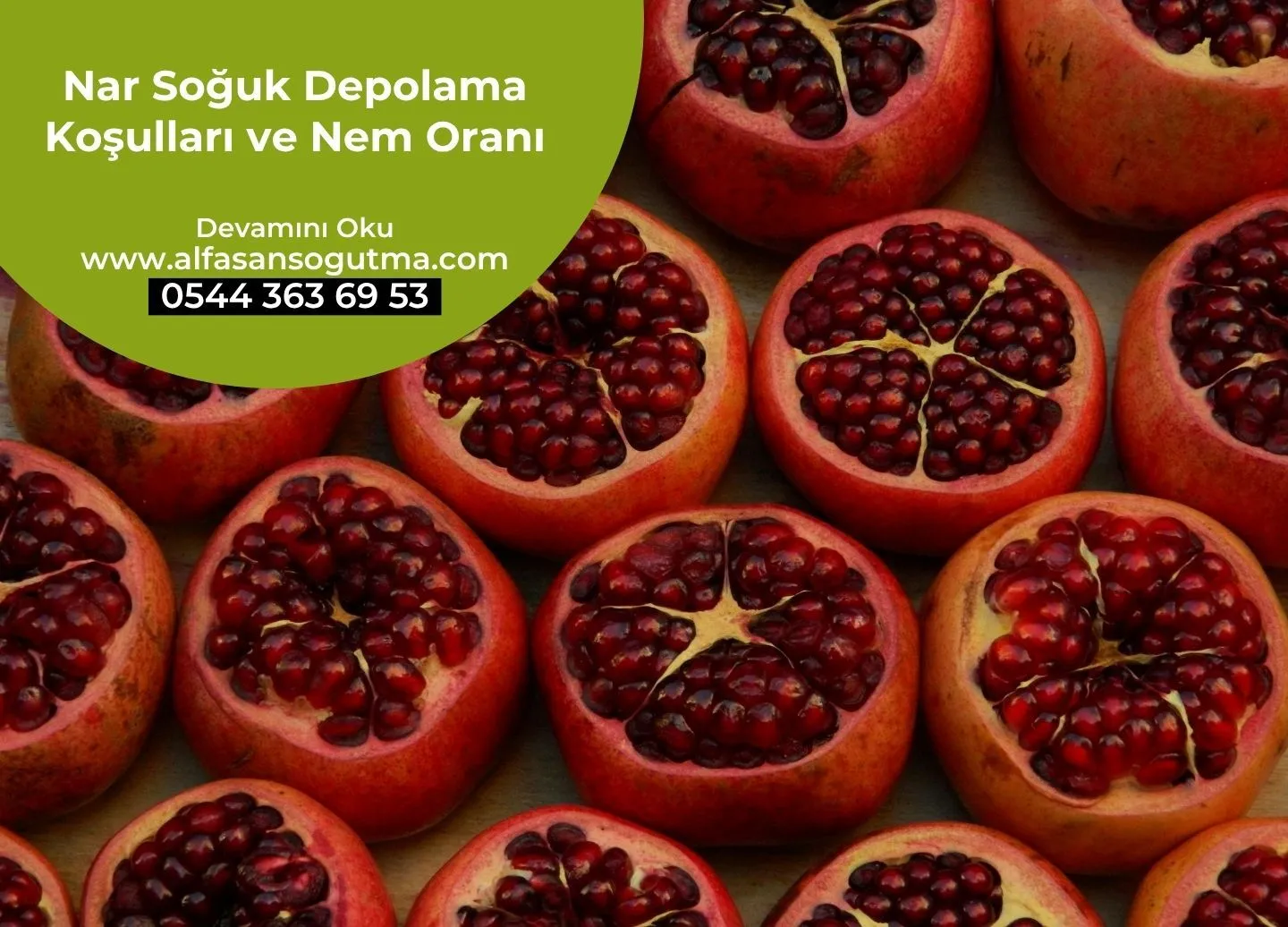 Nar Soğuk Depolama Koşulları ve Nem Oranı