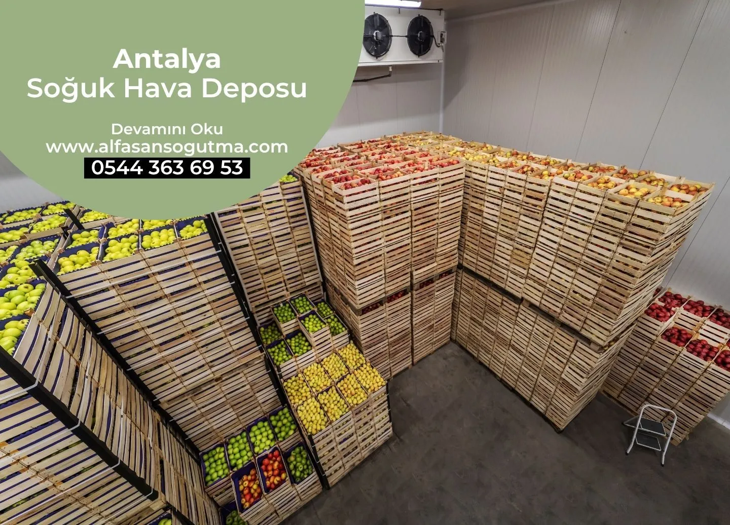 Antalya Soğuk Hava Deposu