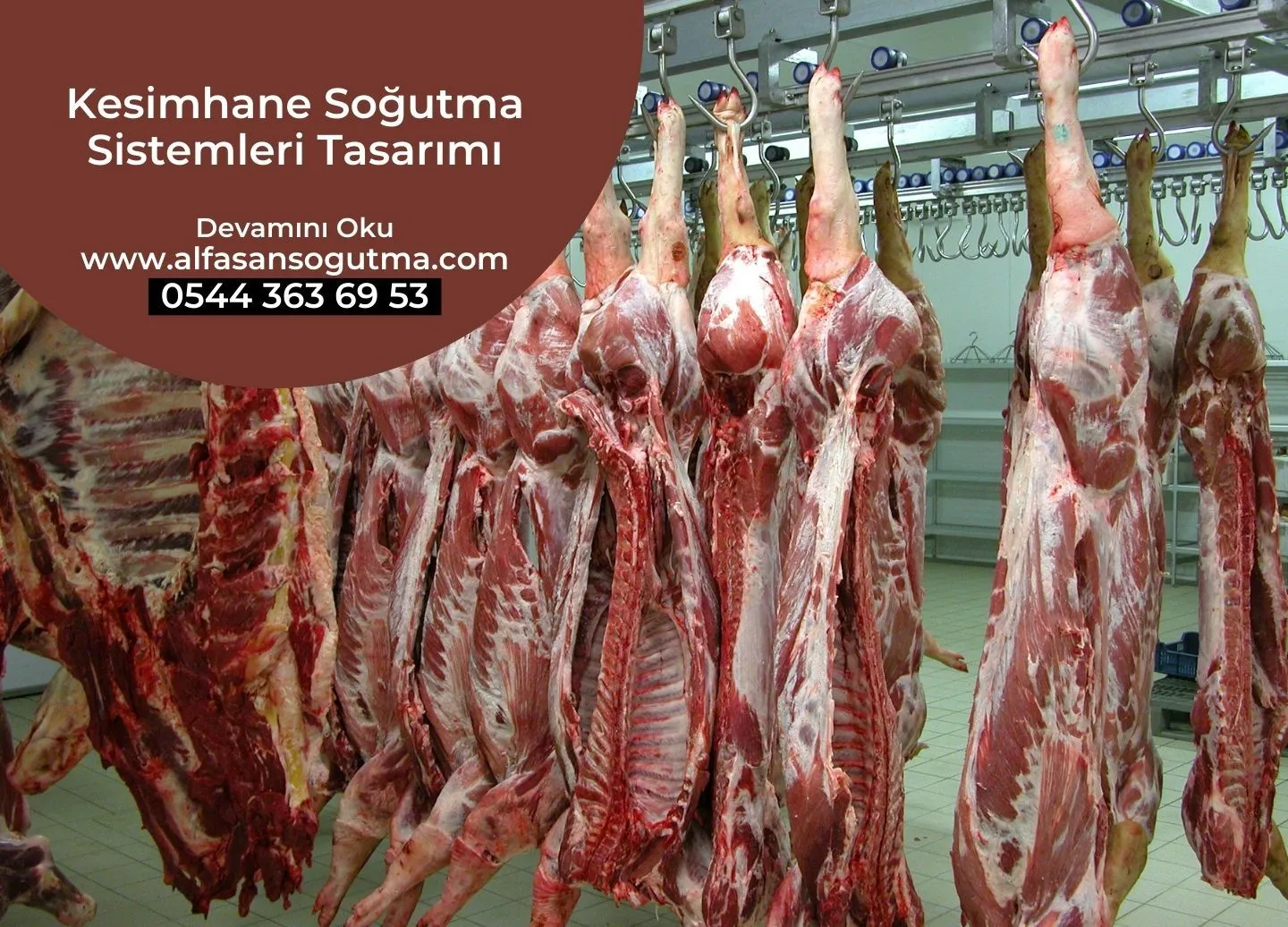 Kesimhane Soğutma Sistemleri Tasarımı