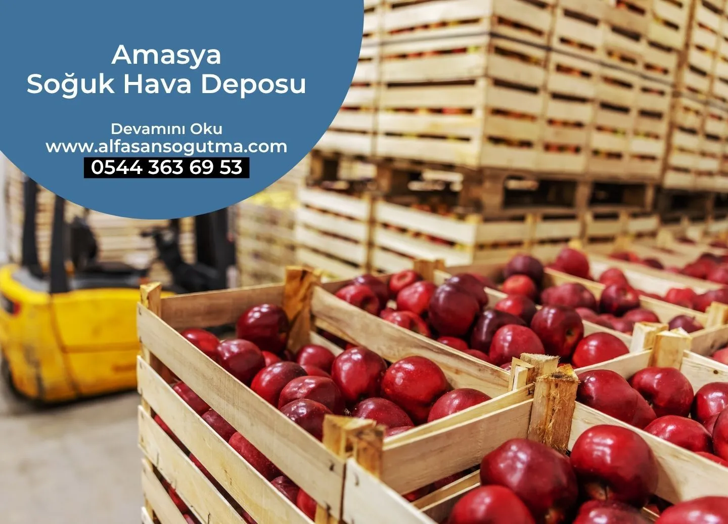 Amasya Soğuk Hava Deposu