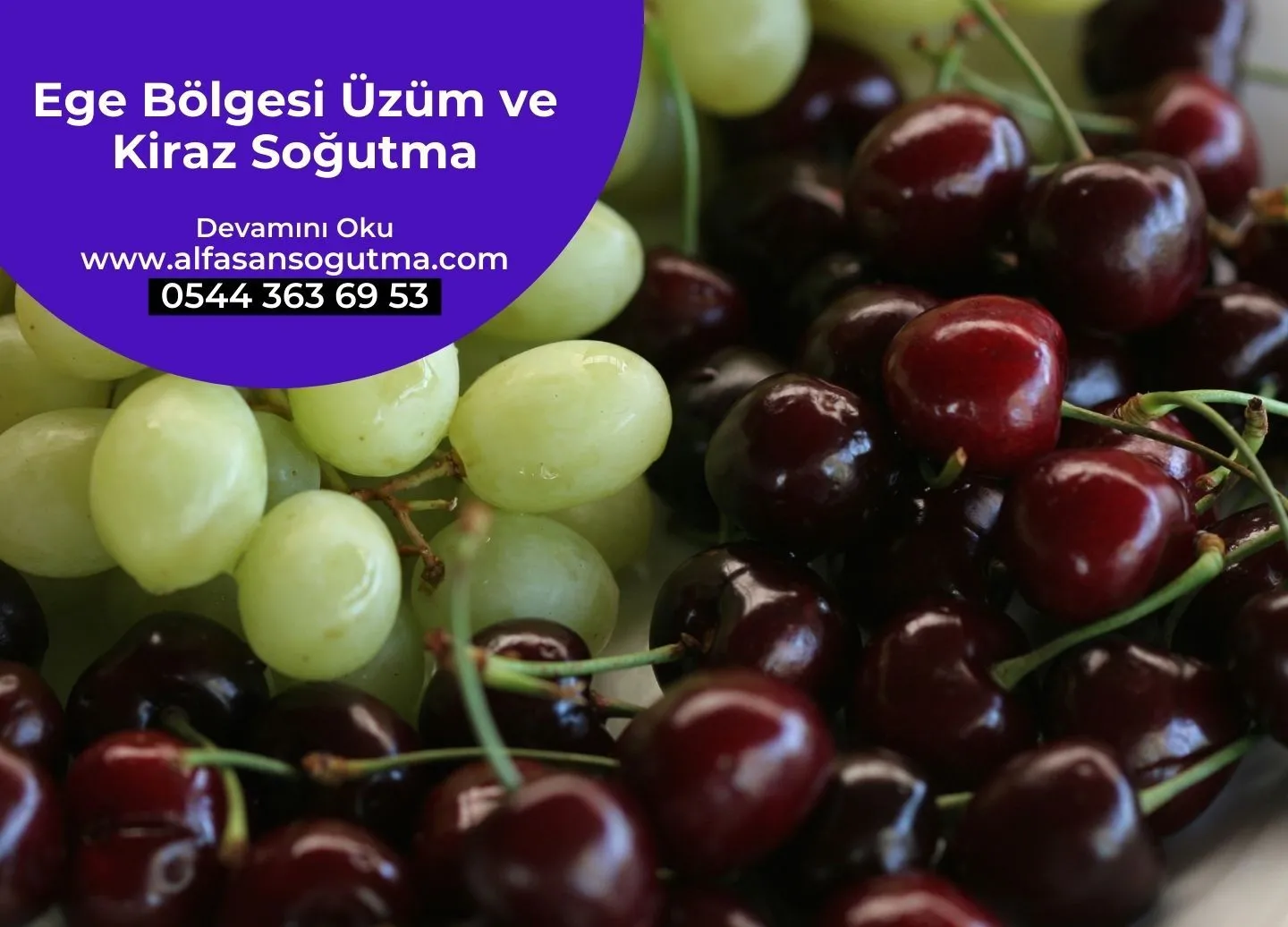 Ege Bölgesi Üzüm ve Kiraz Soğutma