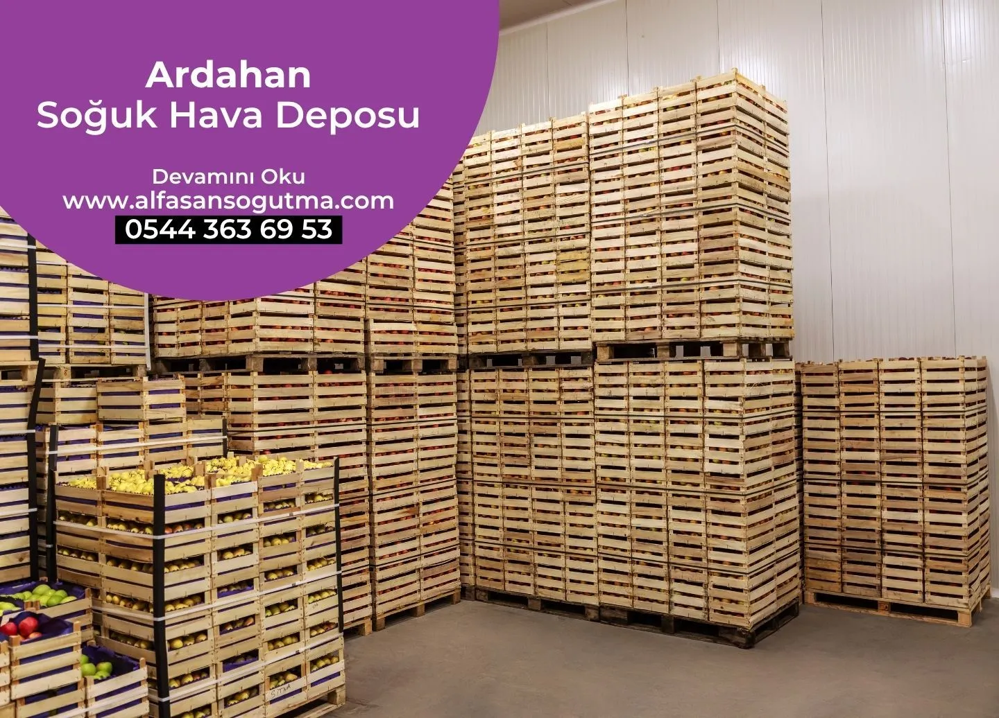 Ardahan Soğuk Hava Deposu