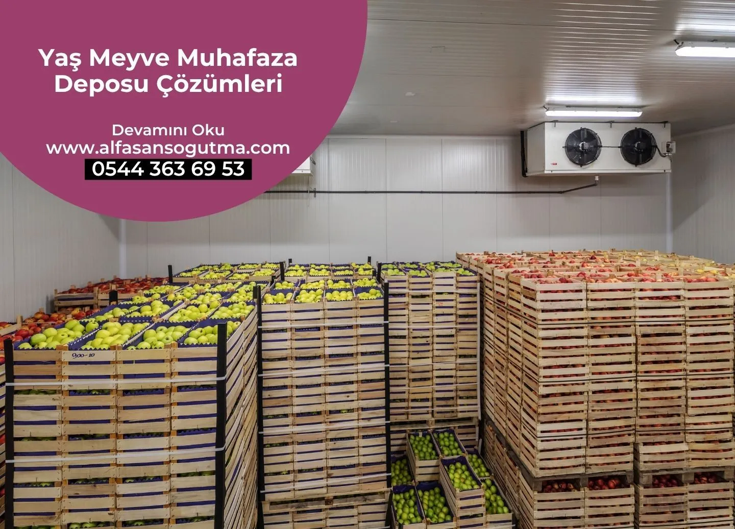 Yaş Meyve Muhafaza Deposu Çözümleri