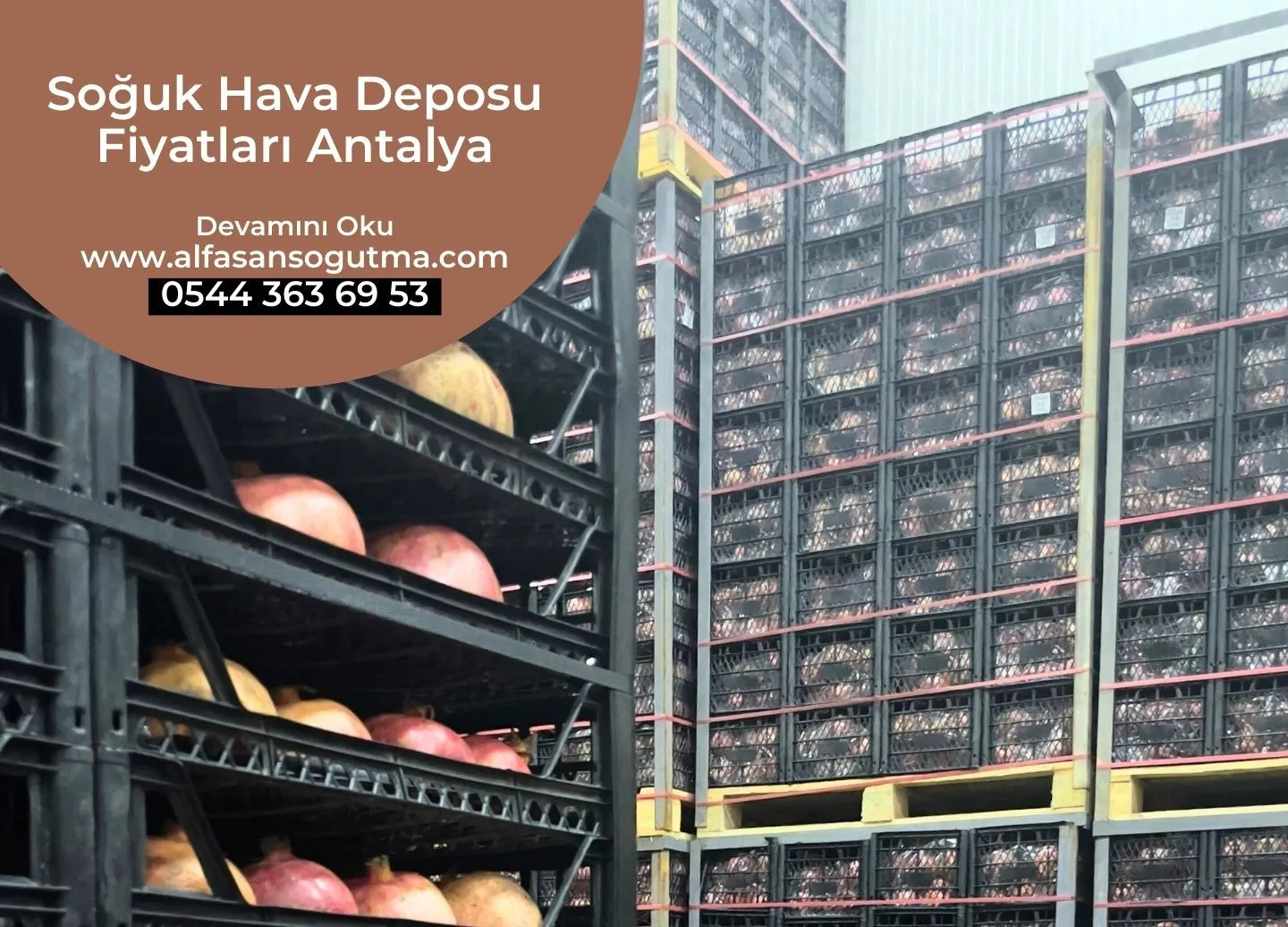 Soğuk Hava Deposu Fiyatları Antalya