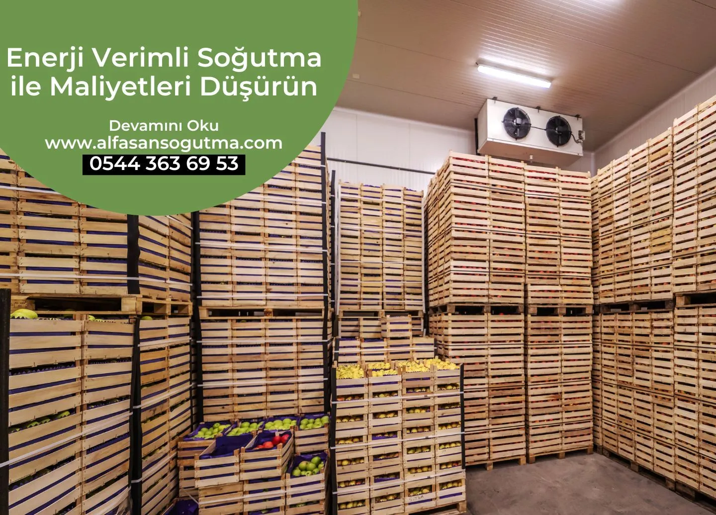 Enerji Verimli Soğutma ile Maliyetleri Düşürün