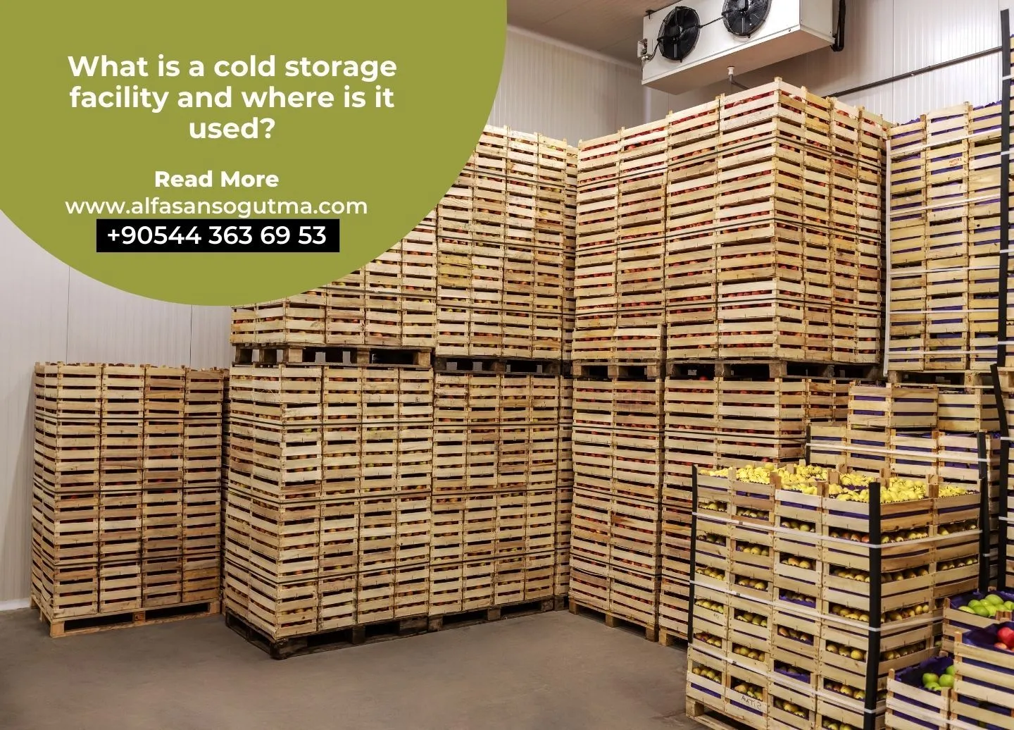What is a Cold Storage Facility and Where is It Used